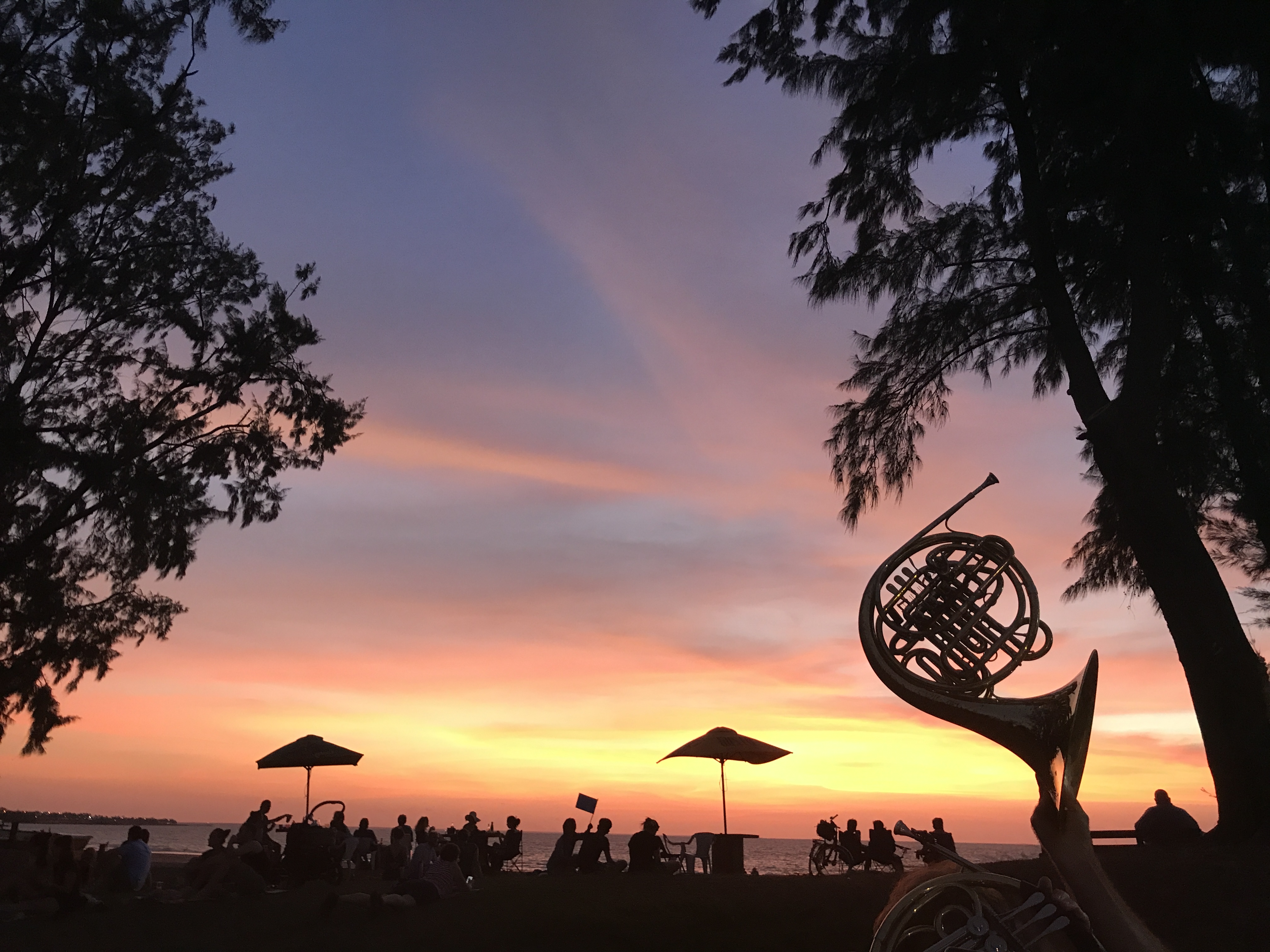 AWE French Horn Silhouette De La Plage by S Lynar
